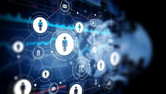 社交电商与互联网数据服务的共赢 利益分配机制探析